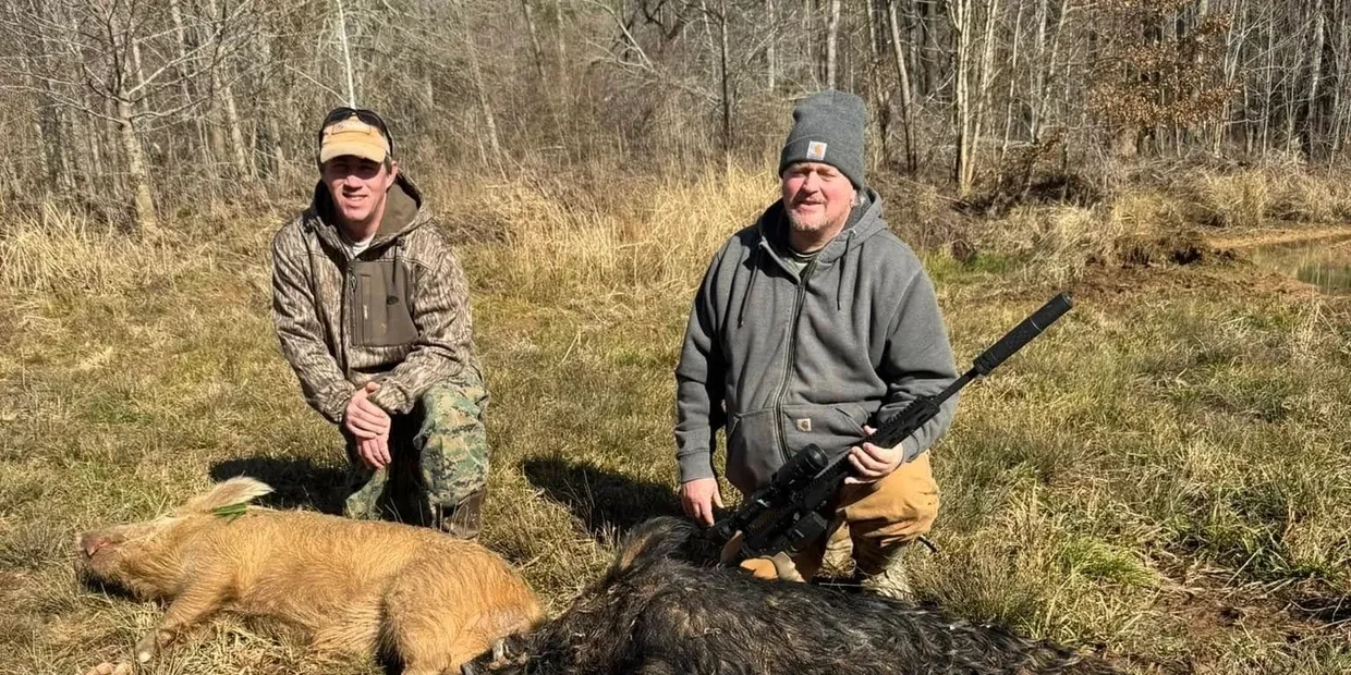 Two hunters with harvested wild boars in a wooded clearing